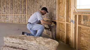 Best Basement Insulation  in Tichigan, WI